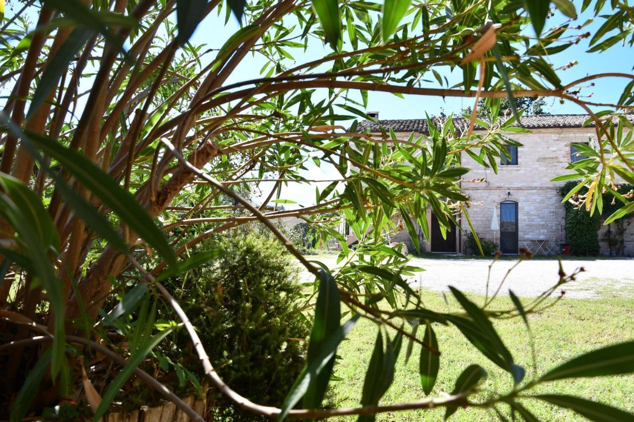 Agriturismo Dai Mori Isola del Piano Exterior foto